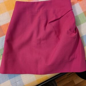 Elegant Pink Women's Skirt/Skort